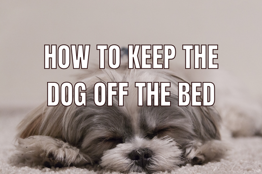 How to Keep The Dog Off The Bed